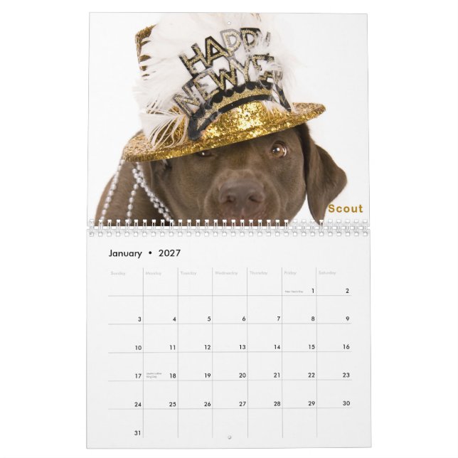 Calendário 2011 de DaisyCares (Jan 2027)