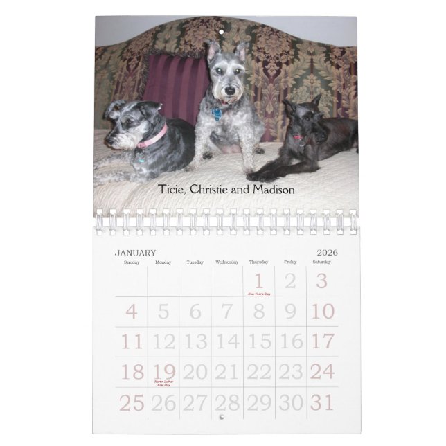 Calendário 2011 de SRM (Jan 2026)