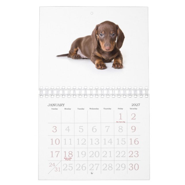 Calendário 2011 do filhote de cachorro do (Jan 2027)