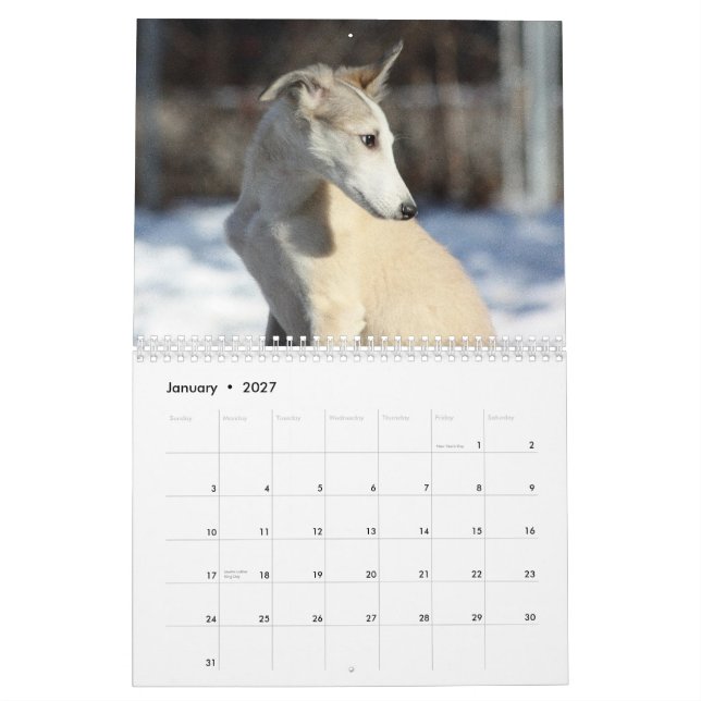 Calendário 2011 filhotes de cachorro macios de Windhound (Jan 2027)