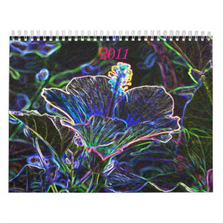 Calendário 2011 Funky