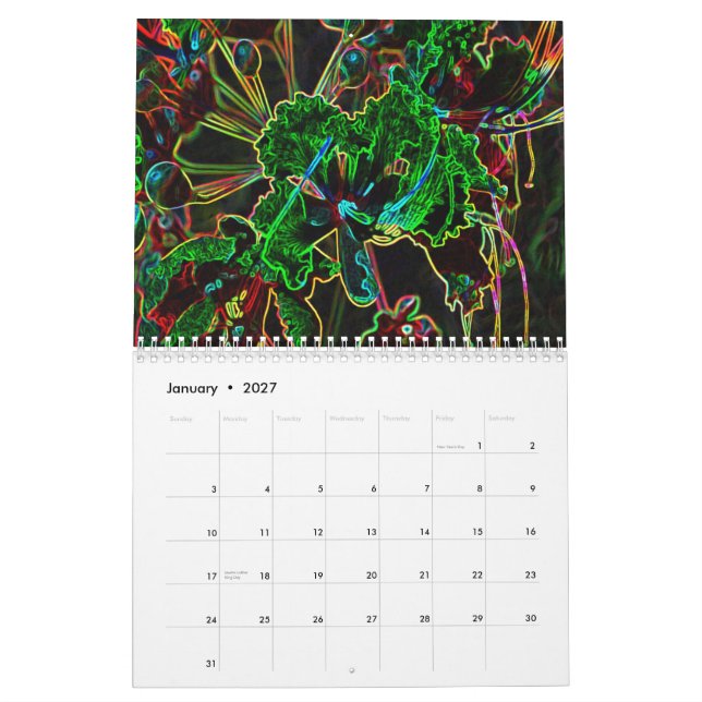 Calendário 2011 Funky (Jan 2027)