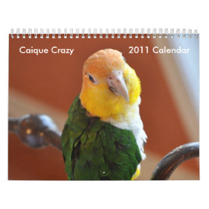 Calendário 2011 louco do Caique