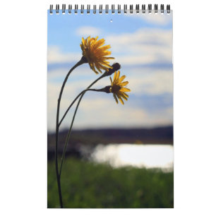 Calendário 2012