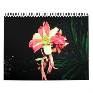 Calendário 2012