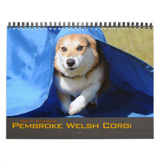 Calendário 2012 da agilidade do Corgi de Galês do