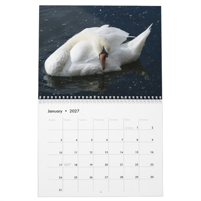 Calendário 2012 da cisne (Jan 2027)