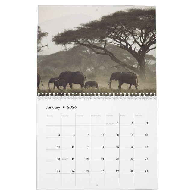 Calendário 2012 da natureza (Jan 2026)