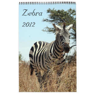 calendário 2012 da zebra
