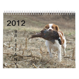 Calendário 2012 de Brittany