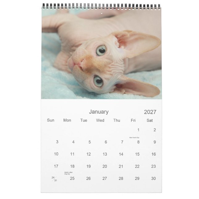 Calendário 2012 de Sphynx (Jan 2027)