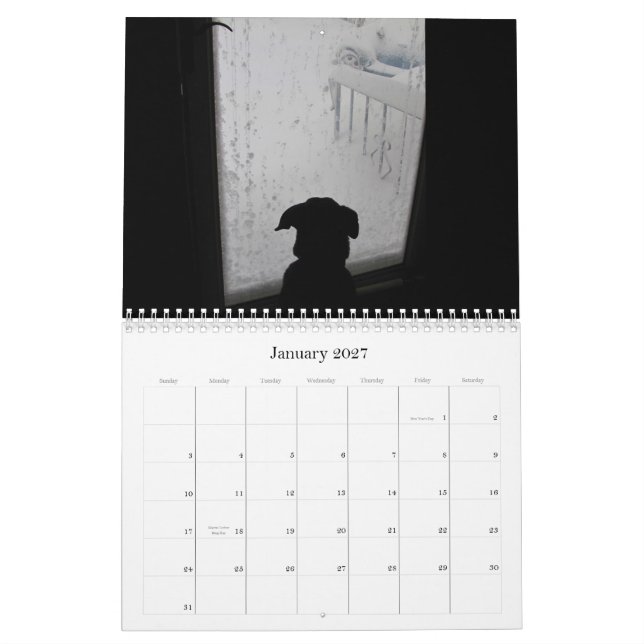 Calendário 2012 do ~ dos bichos (Jan 2027)
