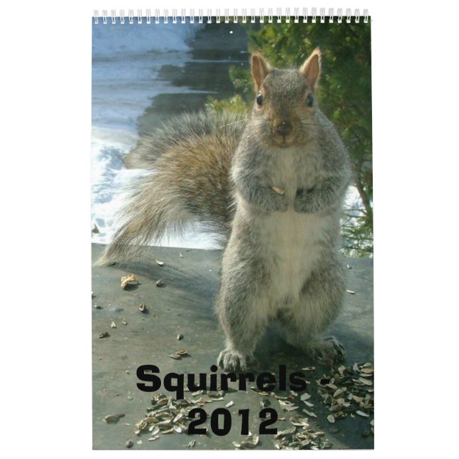 Calendário 2012 do esquilo (Capa)