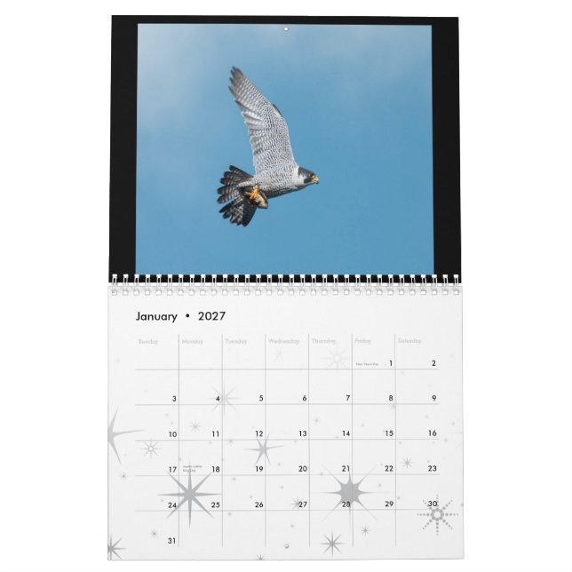 Calendário 2012 do falcão de peregrino de (Jan 2027)