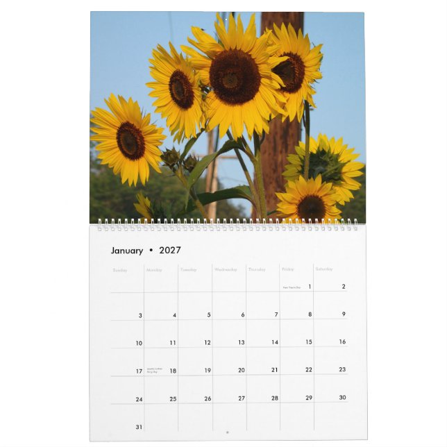 Calendário 2012 do girassol (Jan 2027)