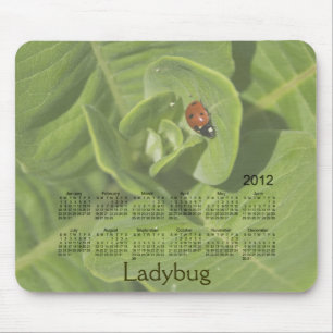 Calendário 2012 do joaninha Mousepad