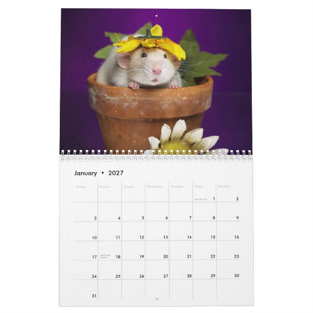calendário 2012 do rato (Jan 2027)
