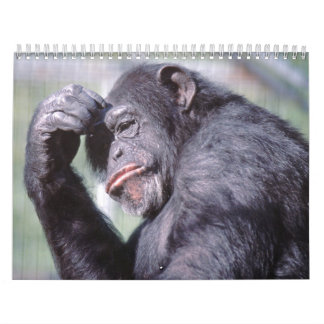 Calendário 2012 dos animais selvagens