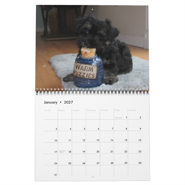 Calendário 2012 dos Bombeiros de Emergência do Hav (Jan 2027)