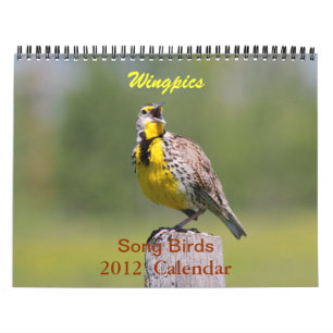 Calendário 2012 dos pássaros da canção de Wing
