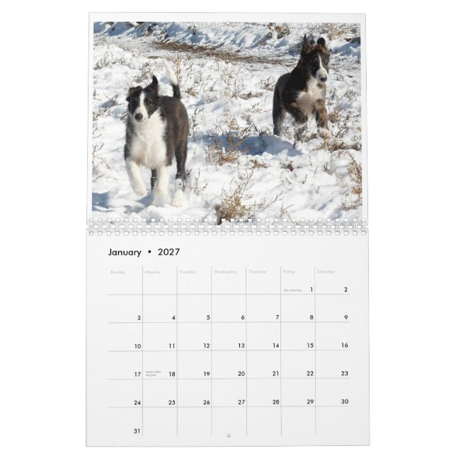 Calendário 2012 filhotes de cachorro macios 2 de Windhounds (Jan 2027)
