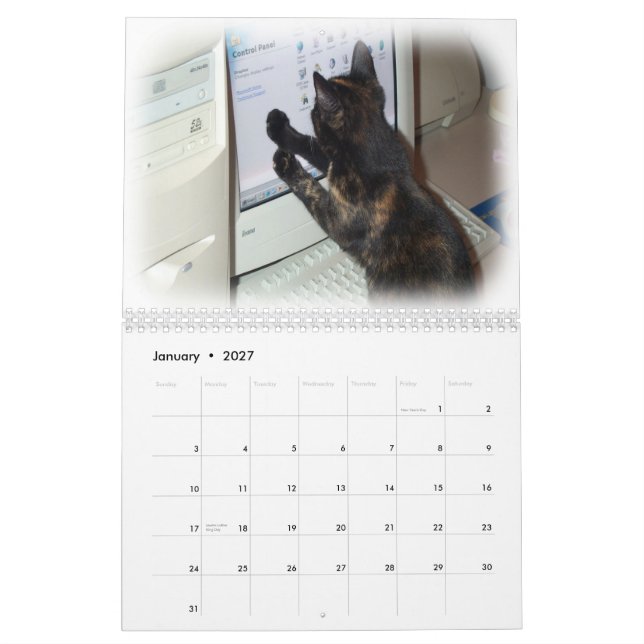 Calendário 2012 - Gatos (Jan 2027)