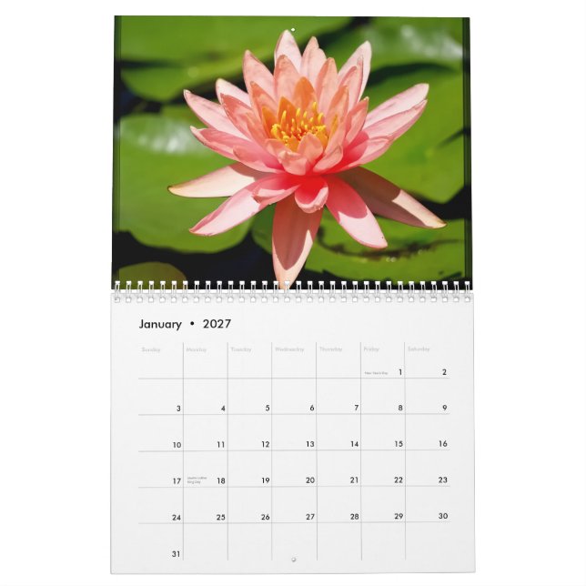 calendário 2013 (Jan 2027)