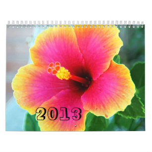 CALENDÁRIO 2013