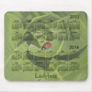 Calendário 2013-2014 do joaninha Mousepad