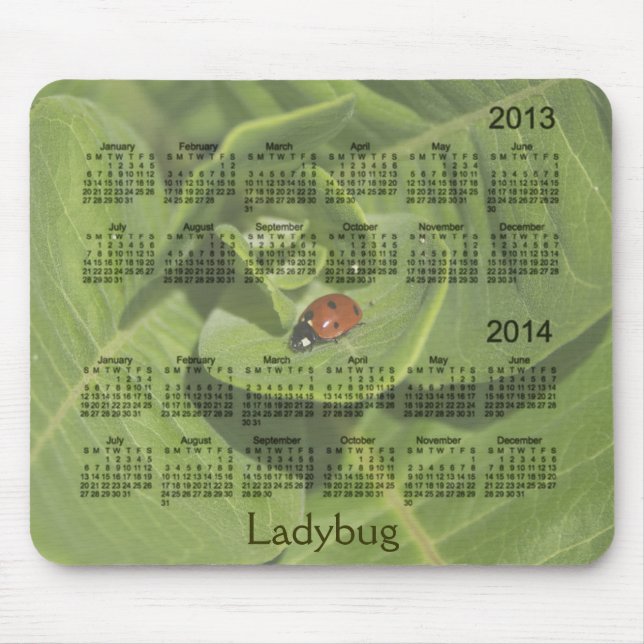 Calendário 2013-2014 do joaninha Mousepad (Frente)