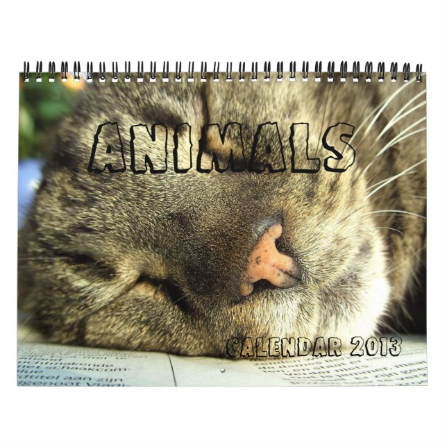 Calendário 2013 - Animais (Capa)