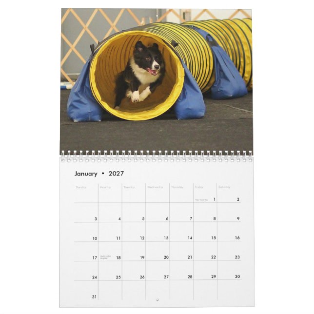 Calendário 2013 da agilidade de border collie (Jan 2027)