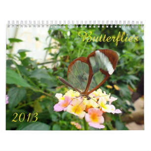 Calendário 2013 da borboleta
