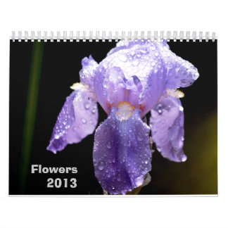 Calendário 2013 da flor