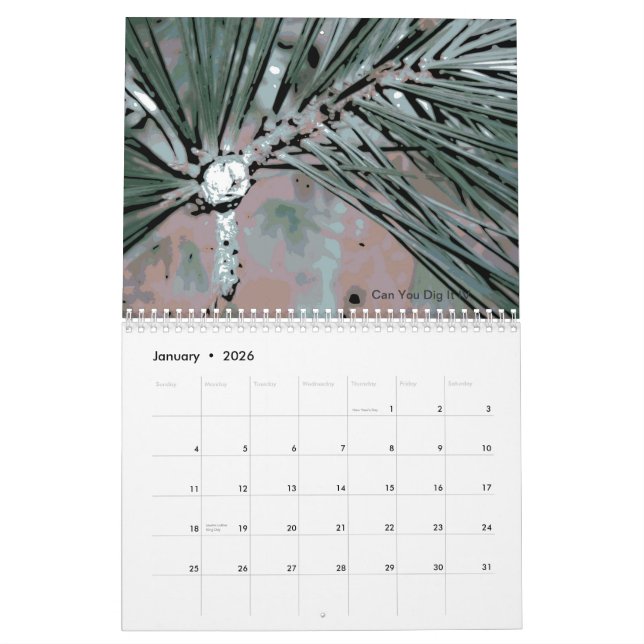 Calendário 2013 da flor da natureza da paisagem de (Jan 2026)