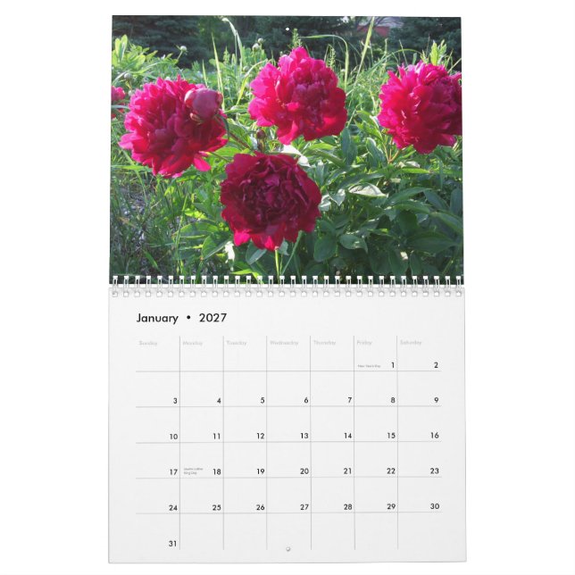 Calendário 2013 da flor das peônias (Jan 2027)