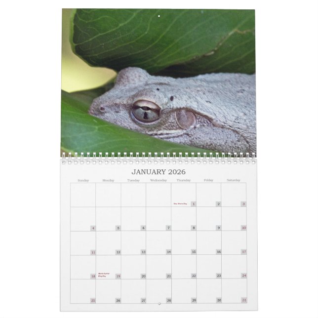 Calendário 2013 da foto (Jan 2026)