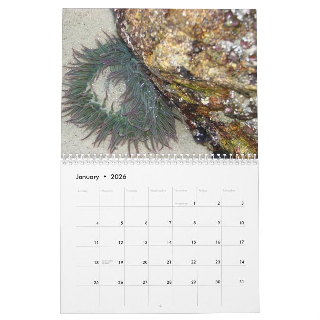 Calendário 2013 da fotografia da herança (Jan 2026)