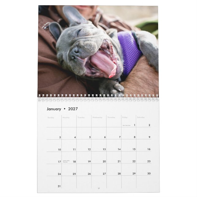 Calendário 2013 da galinha (Jan 2027)