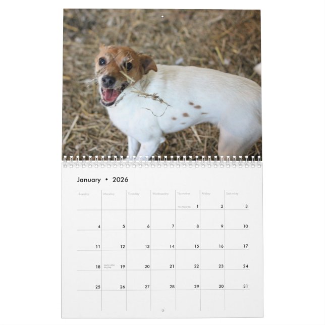 Calendário 2013 de Assoc da caça do celeiro (Jan 2026)