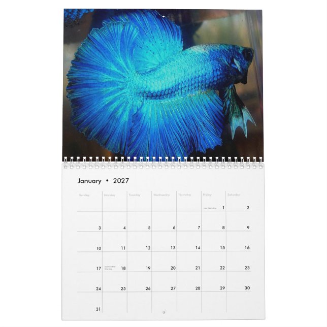 Calendário 2013 de Betta da meia lua pelo Mac (Jan 2027)