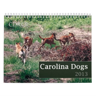 Calendário 2013 do cão de Carolina
