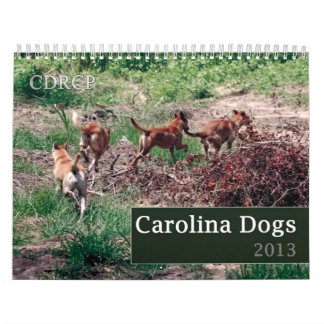 Calendário 2013 do cão de Carolina