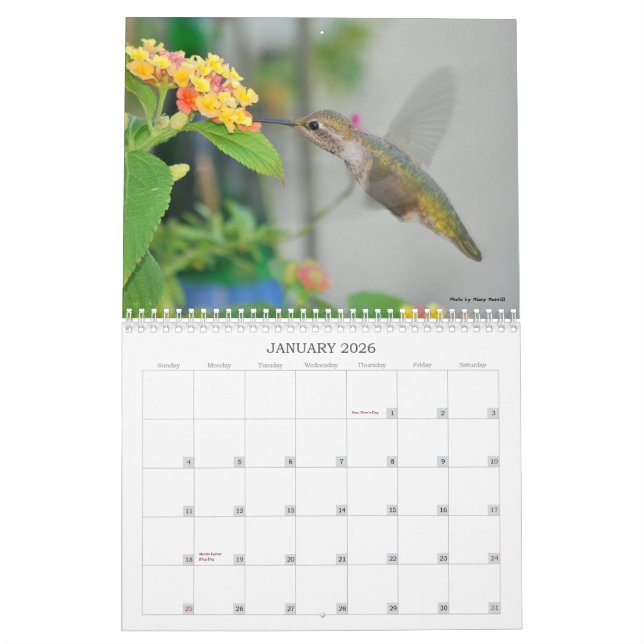 Calendário 2013 do colibri (Jan 2026)