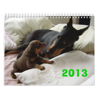 Calendário 2013 do Doberman
