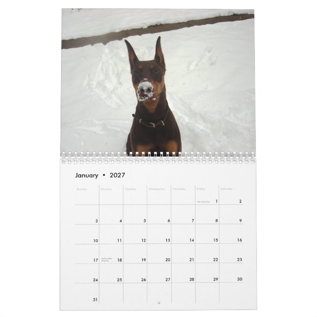 Calendário 2013 do Doberman (Jan 2027)
