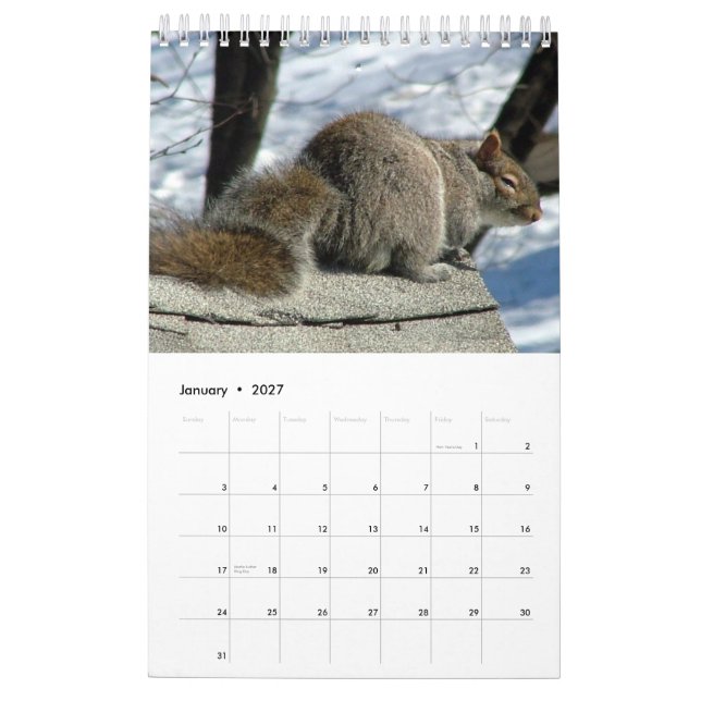 Calendário 2013 do esquilo (Jan 2027)