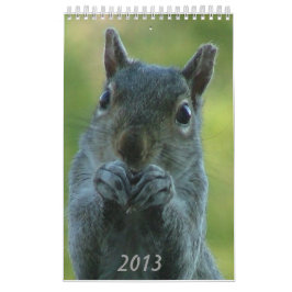 Calendário 2013 do esquilo