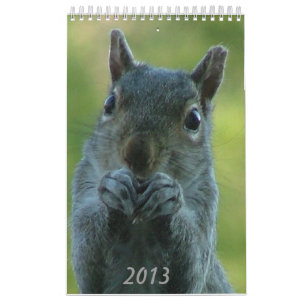 Calendário 2013 do esquilo