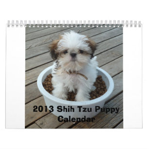 Calendário 2013 do filhote de cachorro de Shih Tz